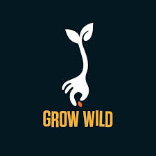 Grow Wild logo - black background yellow wording 