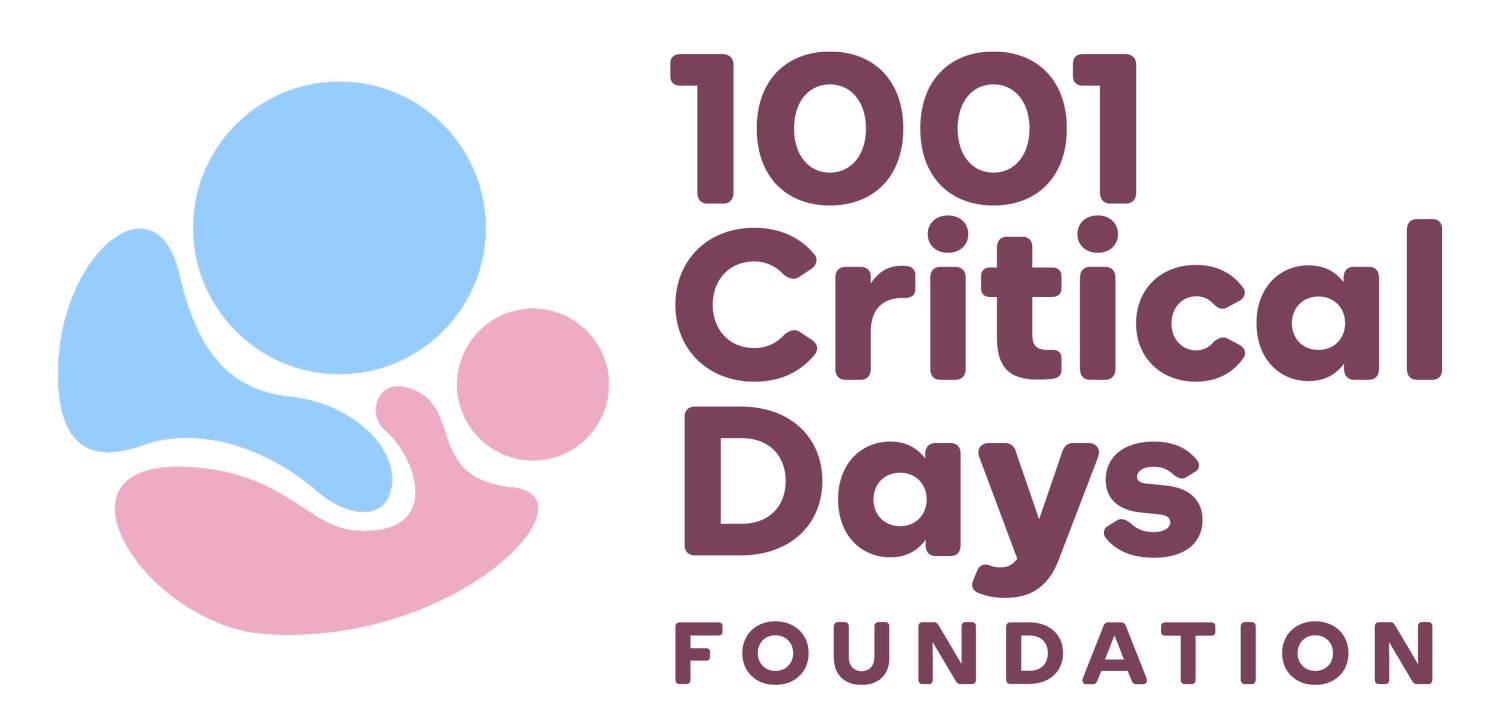 1001 Critical Days Foundation Logo