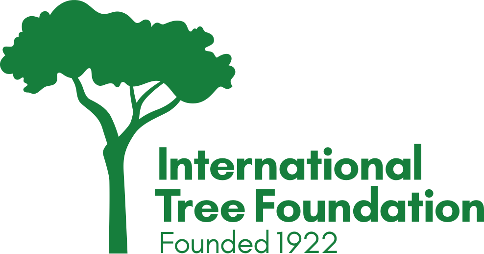 Logo International Tree Foundation