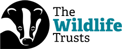 The Wildlife Trusts Logo with a Skunk picture