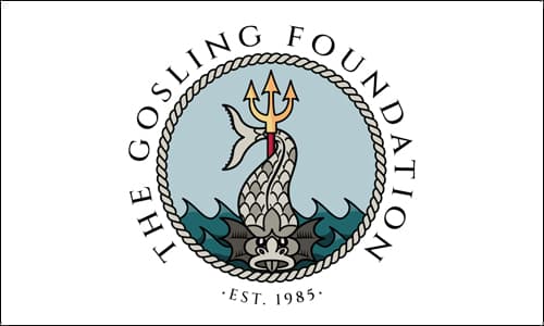Logo The Gosling Foundation