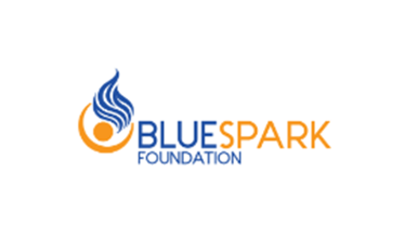 Logo BlueSpark Foundation