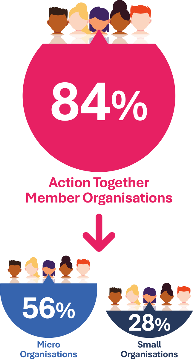 Percentage infographic to show small and micro organisations as part of Action Together members