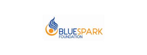 Blue Spark Foundation logo